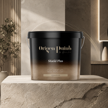 Black paint bucket labeled 'Origen Paints Shield Plus' on a stone surface with a neutral background