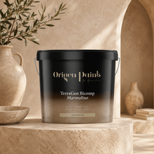 Black paint bucket labeled 'Origen Paints' on a stone surface with decorative vases and plants.